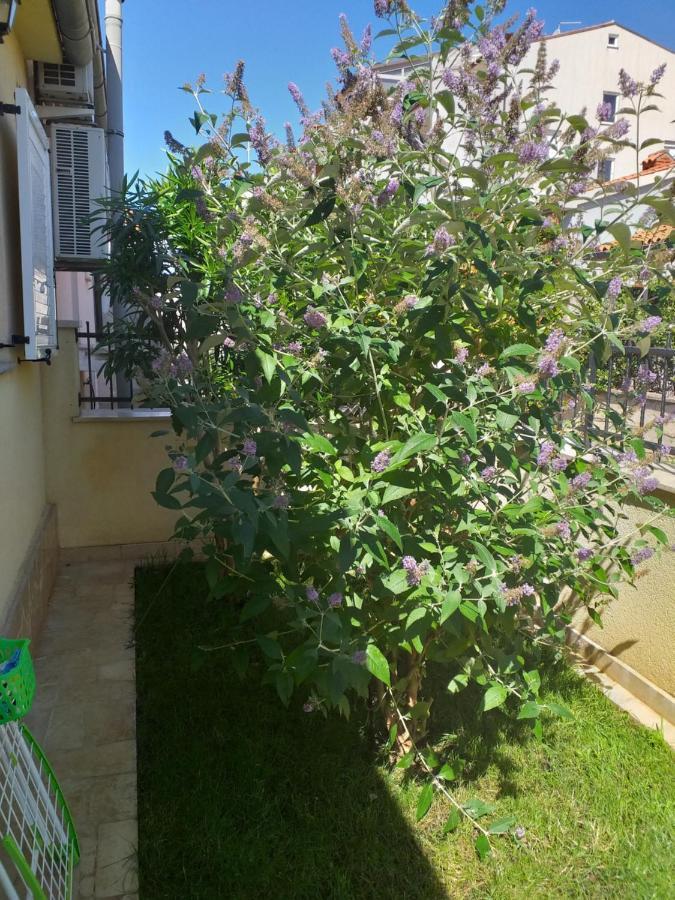 Apartman Vida Pula Bagian luar foto