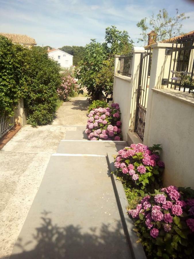 Apartman Vida Pula Bagian luar foto